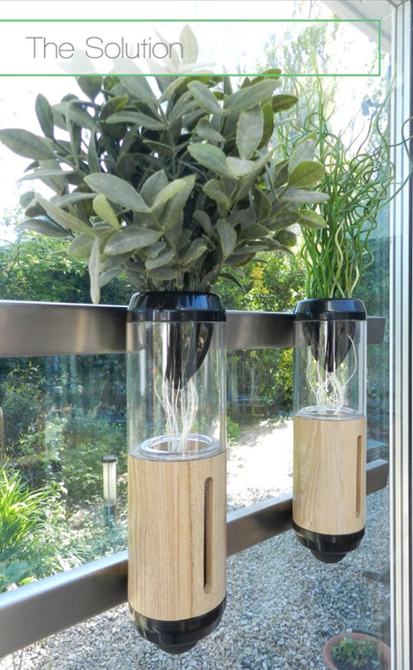 Auxano home hydroponic system redefines gardening in limited space ...
