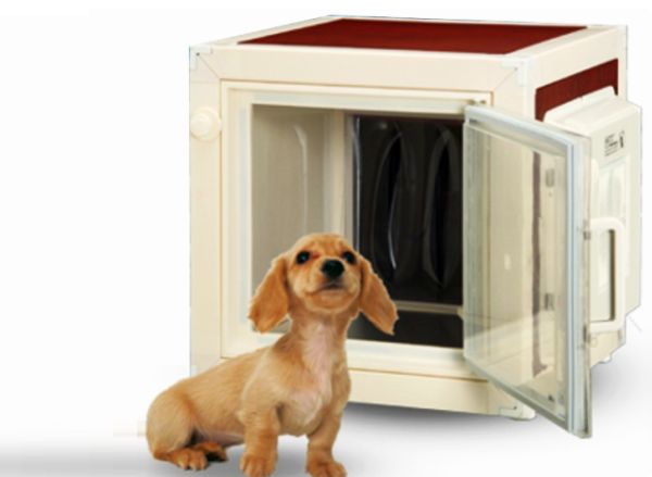 Very Expensive Dog House Very Expensive Dog House