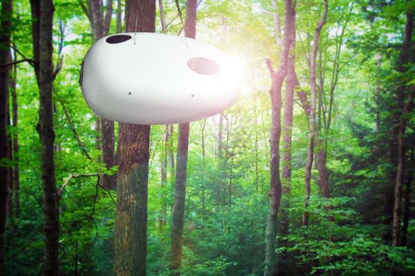 Cocoon like Baobed treehouse offers ultra-comfort anywhere, anytime