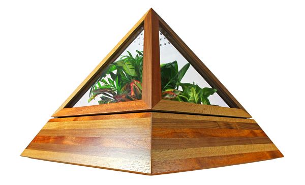 Pyramid Terrarium adds new luxury to indoor gardening