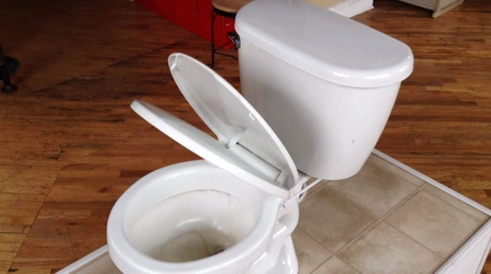 Image Result For Automatic Flush Toilet Inventor Image Result For Automatic Flush Toilet Inventor