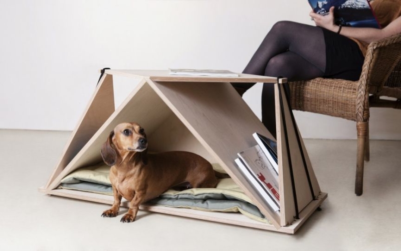 coffee tablefabbricabois doubles as a pet house coffee tablefabbricabois doubles as a pet house