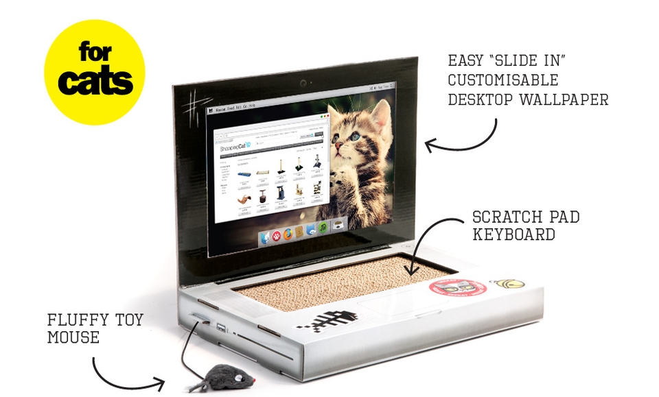 Cat Scratch Laptop