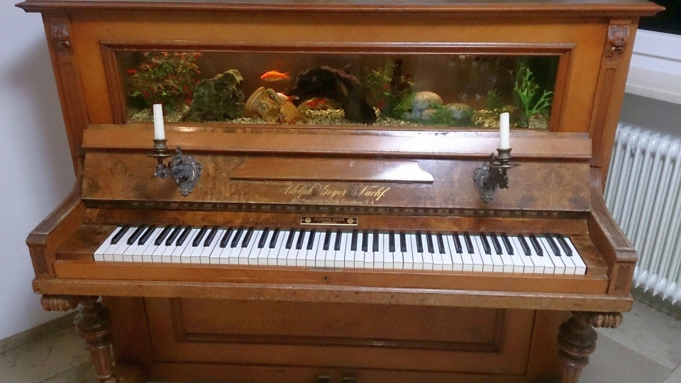 http://www.homecrux.com/wp-content/uploads/2015/09/Piano-Aquarium.jpg