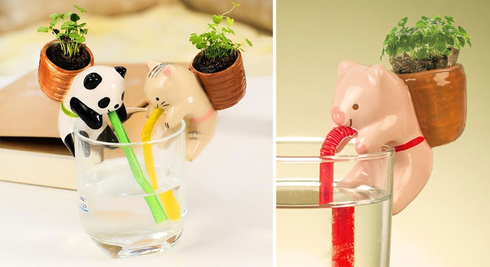 Self-watreing-planters-1.jpg
