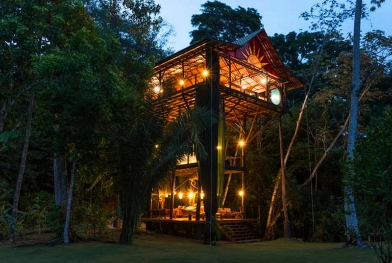 View of towering treehouse in the evening