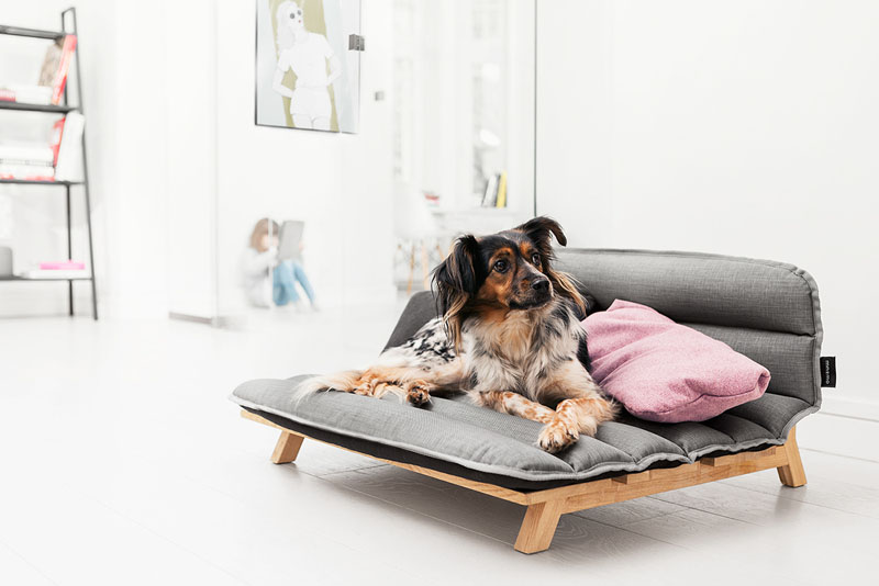 dog den bed dresser drawer mnomos dog den could be mistaken for conventional ottoman dog bed dog den bed dresser drawer mnomos dog den could be mistaken for conventional ottoman dog bed