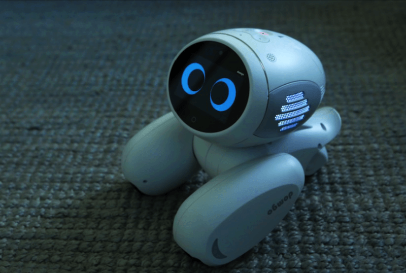 Conheça "Domgy" um Robô de 'estimação’ que reconhece os donos e protege a casa