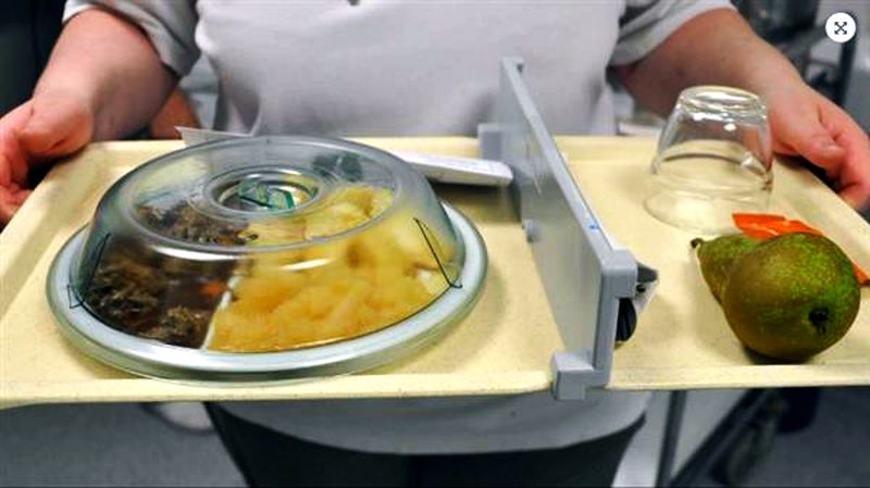 Zwolle's hospital to serve 3D printed food to patients ...