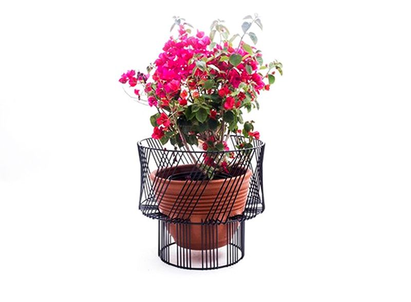 Elevate and protect your plants with stylish Bend Plant Stands