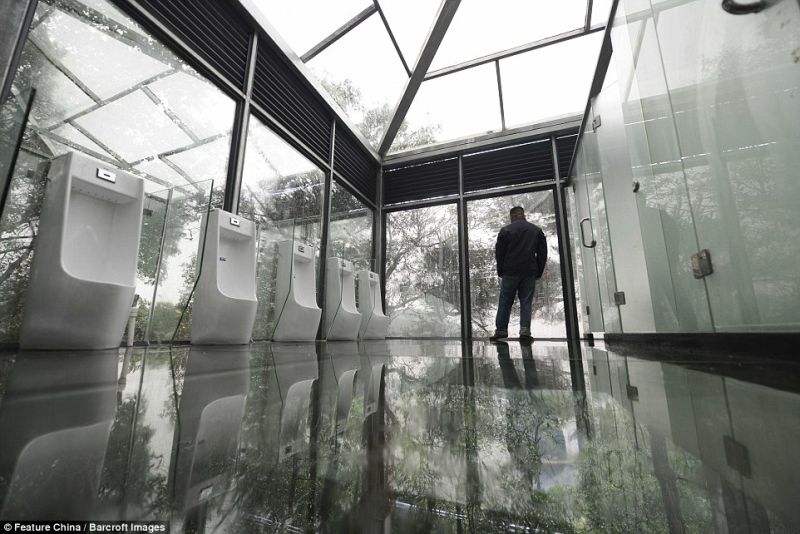 world's first glass toilet unveiled in china's nature park world's first glass toilet unveiled in china's nature park