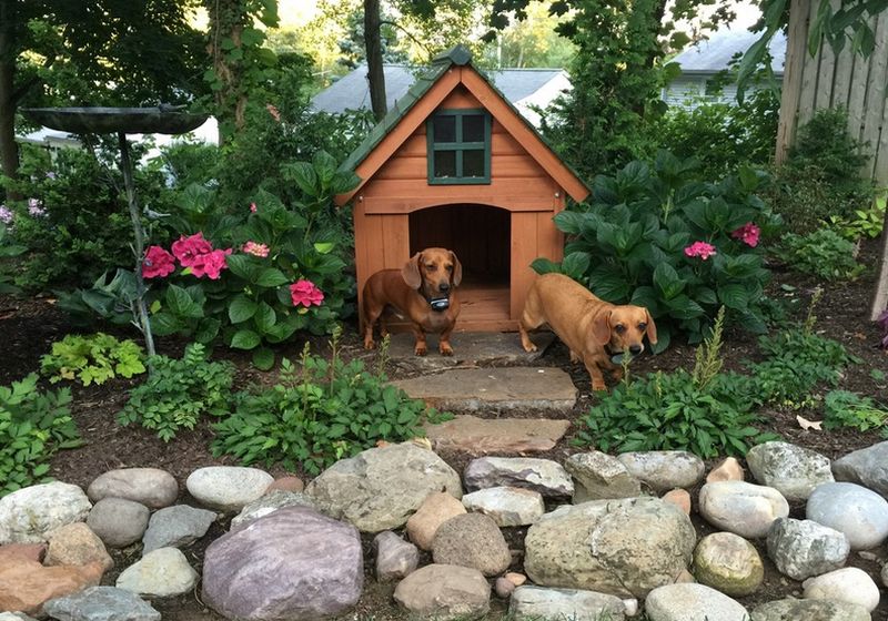 Dog House - Page 2 of 5- HomeCrux Dog House - Page 2 of 5- HomeCrux