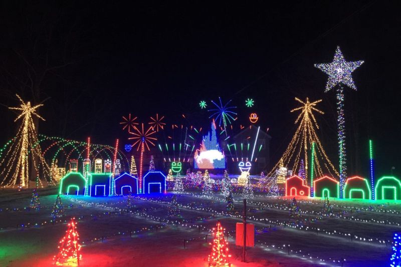 twin brothers design disney inspired christmas light display twin brothers design disney inspired christmas light display