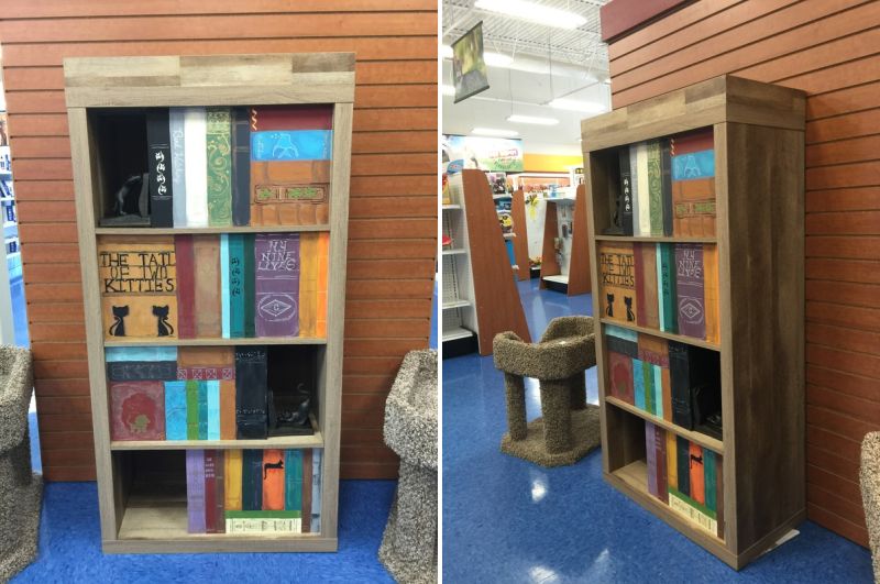 Tennessee man builds absolutely ‘purrfect’ cat houses for felines