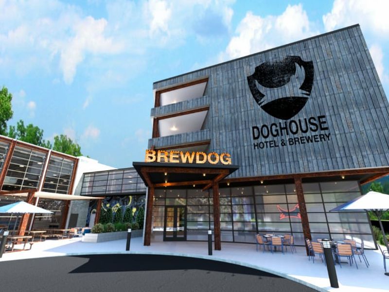 Brewdog Hotel A Place Where You Can Literally Bathe In Beer Brewdog Hotel Doghouse