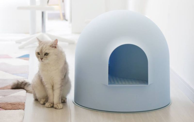 AwardWinning Igloo Cat Litter Box by Pidan Studio
