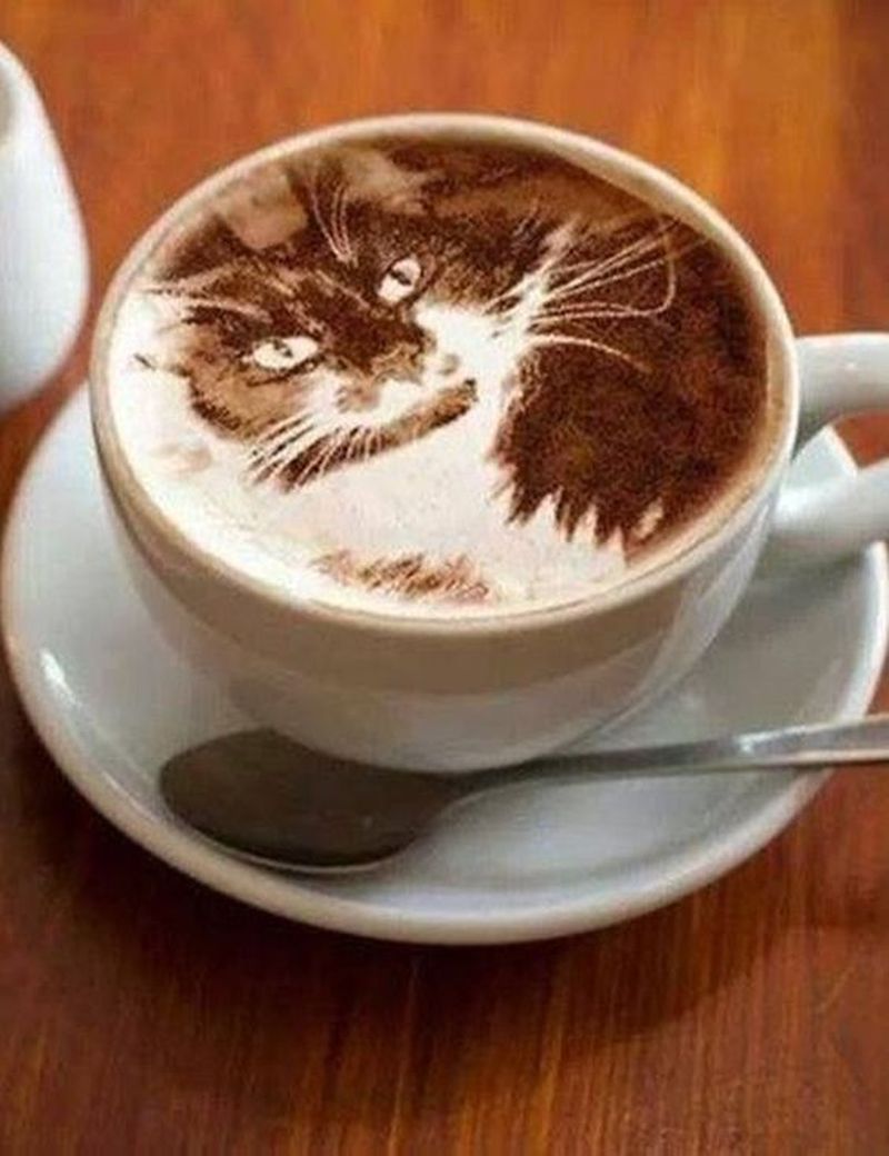 31 best latte art designs (Pictures)