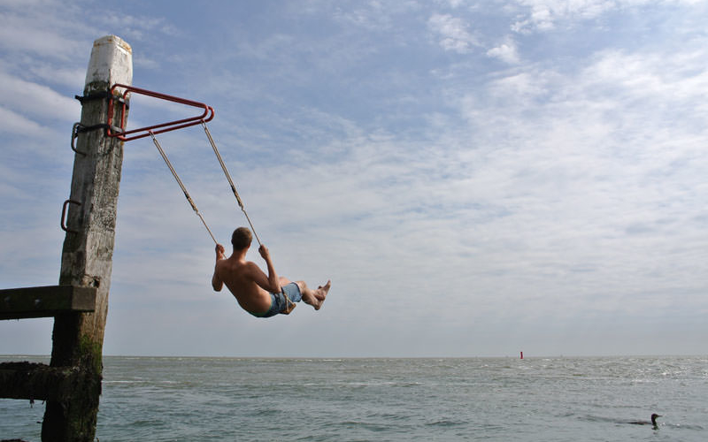 26 unique swings you'd want in your backyard