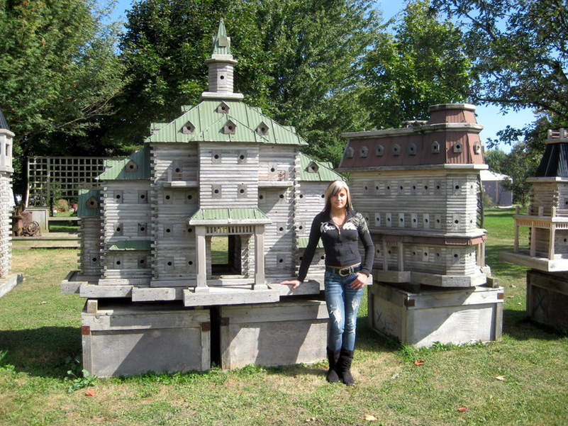 These luxury birdhouses feature flythrough tunnels and swimming pools