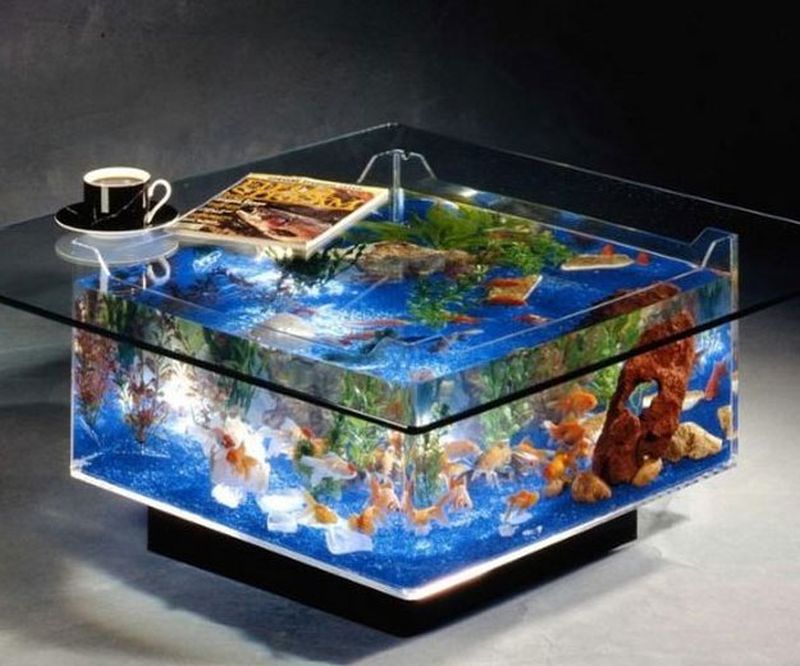 20 best aquarium ideas to freshen up your home interior 20 best aquarium ideas to freshen up your home interior