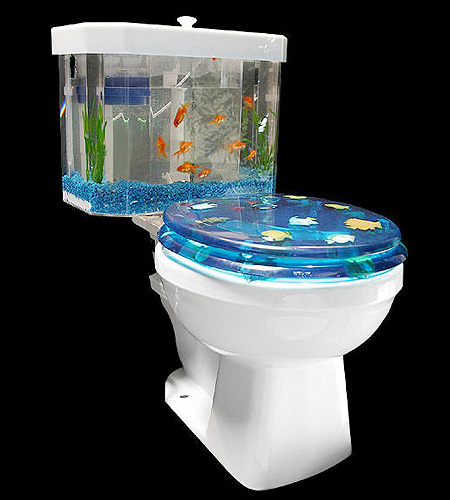 Kitchen Island Fish Tank 20 best aquarium ideas to freshen up your home interior Kitchen Island Fish Tank 20 best aquarium ideas to freshen up your home interior
