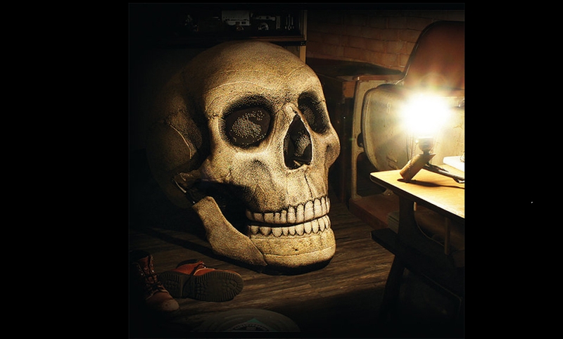 spooky-scary-skull-chair-by Chic sib design_4