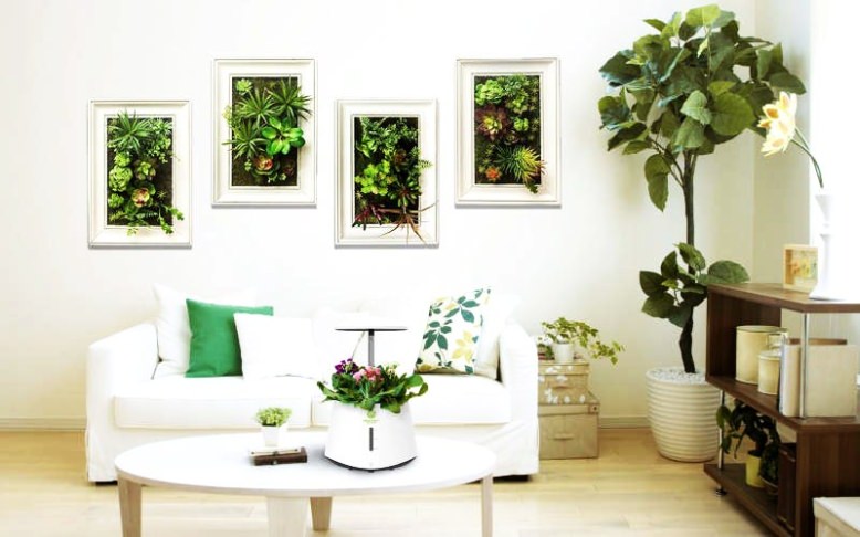 How To Purify Indoor Air Naturally And Live Healthy
