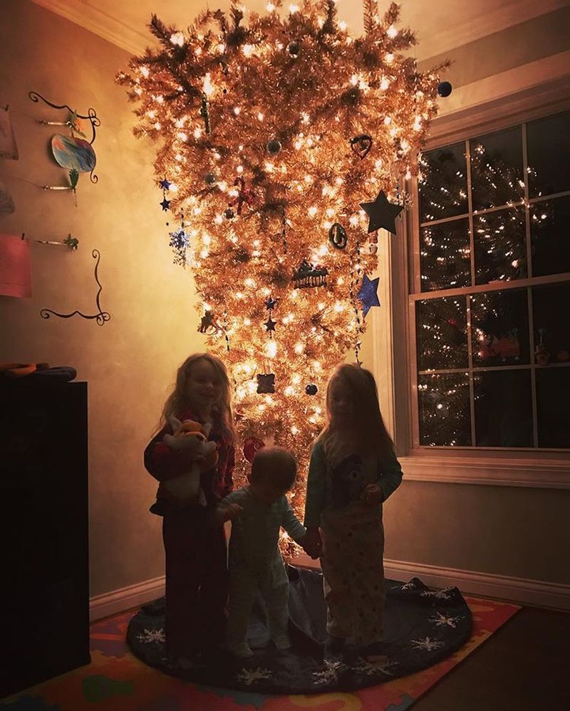 Upside-down Christmas trees may sound strange, but they exist