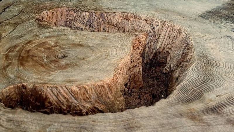 lake coffee table from a 400-year-old tree trunk21