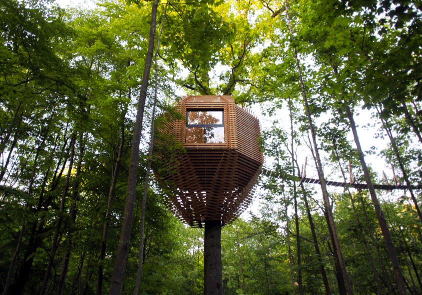 treehouse masters angry orchard geometric treehouse inspired by birds nest brings you closer to nature masters homecrux treehouse masters angry orchard geometric treehouse inspired by birds nest brings you closer to nature masters homecrux