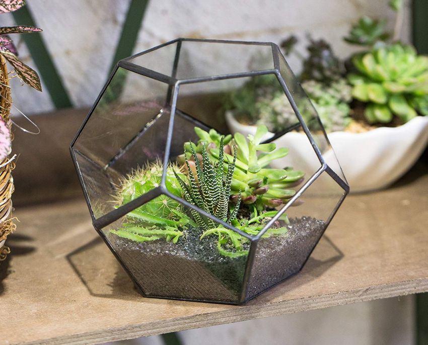 NCYP Tabletop Terrarium - Gifts for her