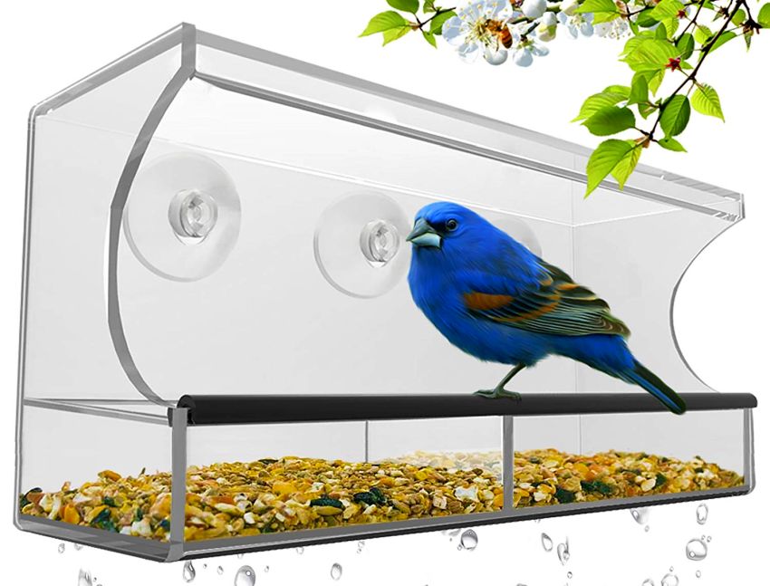 Nature Hangout Outdoor Window Bird Feeder