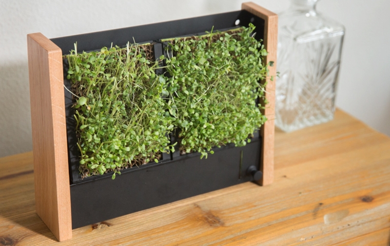 EcoQube Frame Compact Vertical Garden Planter