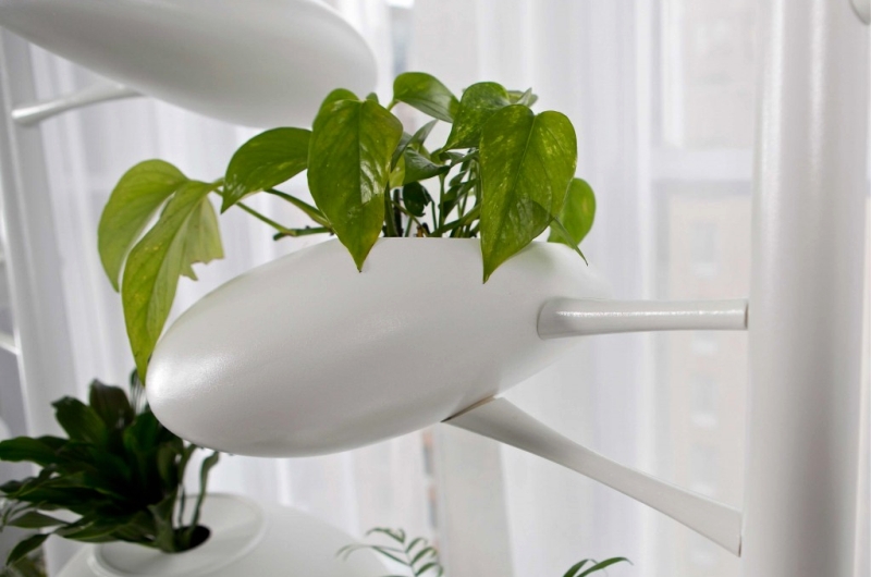 Vertical Hydroponic Garden by Danielle Trofe Design