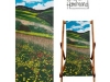 Collection of Deck Chairs by Jacqueline Hammond