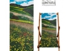 Collection of Deck Chairs by Jacqueline Hammond