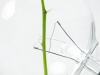 light-bulb-flower-vase