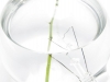 light-bulb-flower-vase