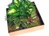 pyramid-terrarium-for-indoor-gardening
