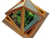 pyramid-terrarium-for-indoor-gardening