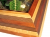 pyramid-terrarium-for-indoor-gardening