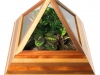 pyramid-terrarium-for-indoor-garding