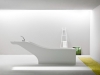 symbiosis-bathtub-and-washbasin-combo-by-desnahemisfera-2