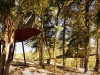 tree-snake-houses-2