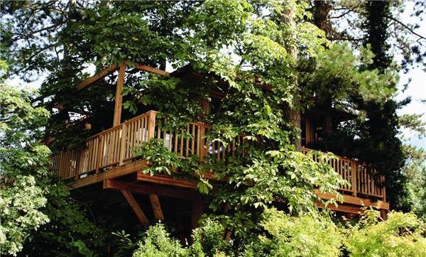 Hotel Meisters Irma Treehouse