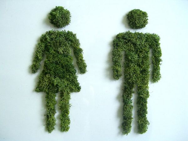 Moss artwork by Claire Roberts