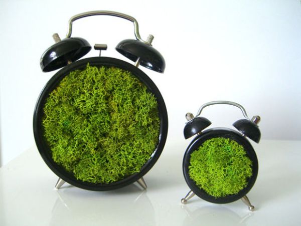 Moss artwork by Claire Roberts