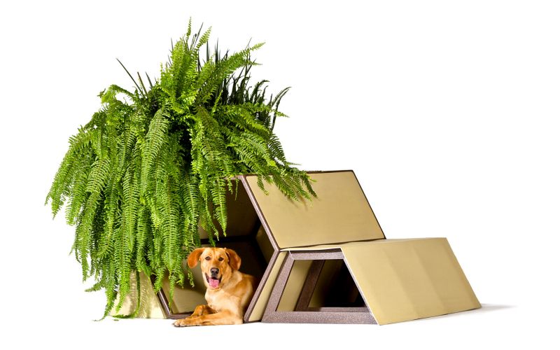 Dogchitecture entails a range of innovative dog house designs