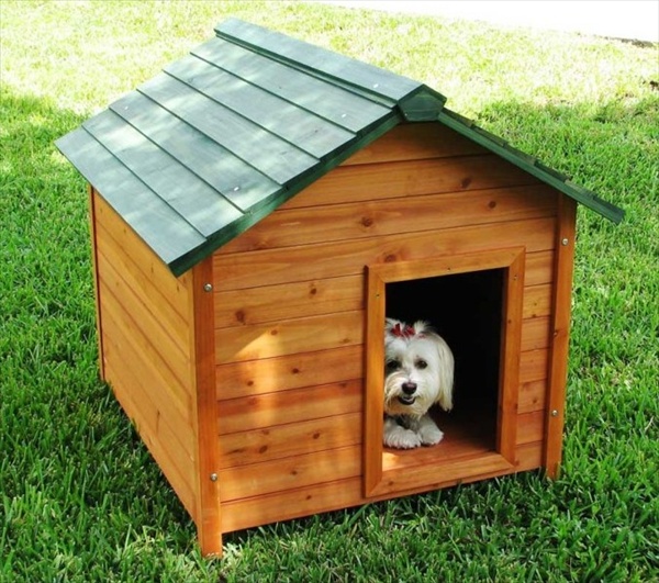 Pallet Dog House