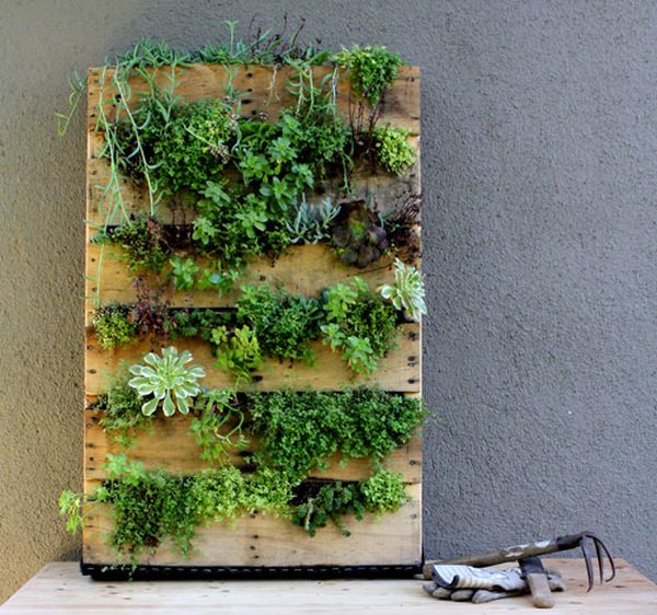 reuse old wooden pallets 